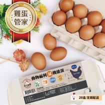 《咱兜ㄟ養雞場》(雞蛋管家配送20盒) 動物福利雙機能蛋 限時優惠!